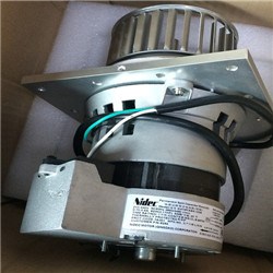 AA19N05.jpg